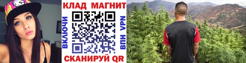 Как найти закладки Плёс Конопля A PVP Псилоцибиновые грибы Cocaine Меф мяу мяу