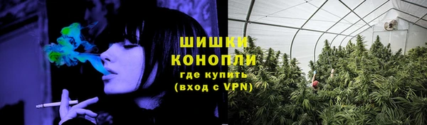 твердый Лиски