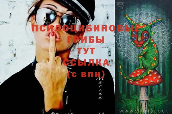 твердый Лиски