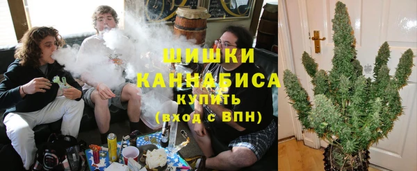 твердый Лиски